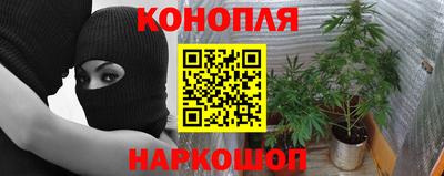 каннабис Сланцы
